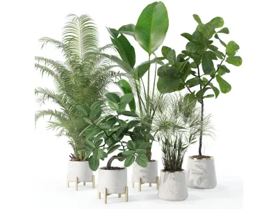 Plants collection 120 3D model