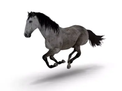 Realistic Animated Gray Horse Low-poly 3D model