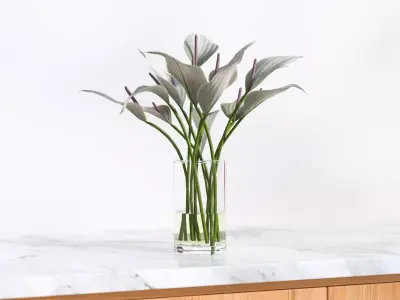 White elegent flowers in a glass vase 3D model