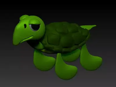 tortoise turtle 3D model