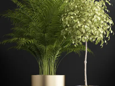 plants set 152 3D model