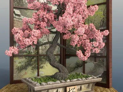 Bonsai set  sakura coniferous deciduous 3D model