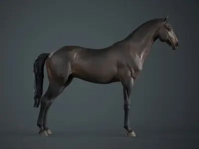 Horse - 3D Sculpting - TPose 3D model