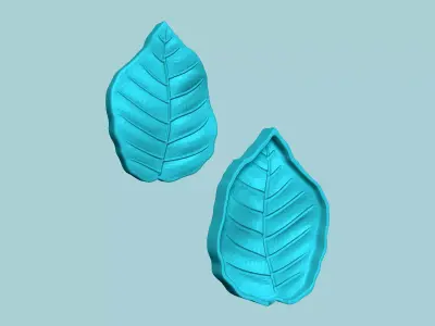 European Beech Leaf - Molding Artificial EVA Craft 3D print model