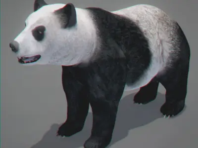 Panda Bear 3D model