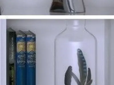 Big Set bookcase with two paintings 3D model