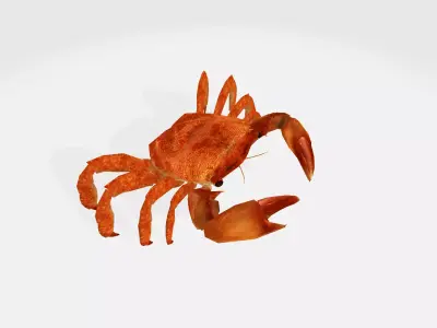 crab 3d 3D model