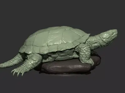 Turtle 3d model 3D print model