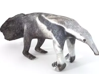 Anteater Low-poly 3D model