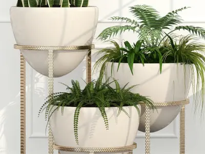 plant 39 Room plants 14 3D model