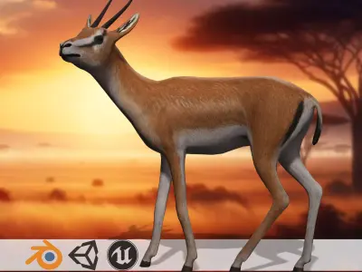 Savanna gazelle Sprinter  3D Antelope Model Low-poly 3D model