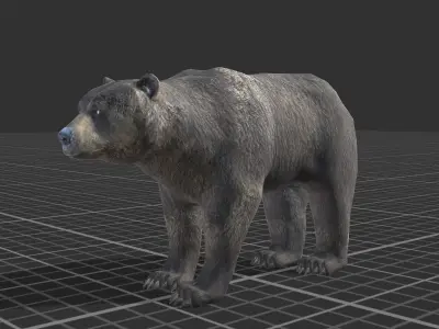 Bear Female 1 Low-poly 3D model