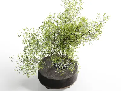 Tree branch in a concrete vase bouquet 27 Low-poly 3D model