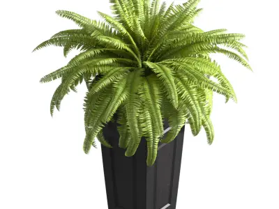 Boston Fern in a ArtDeco flowerpot Plant Front Entrance Patio  3D model