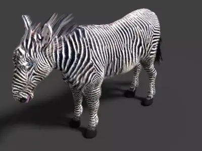 zebra 3D model