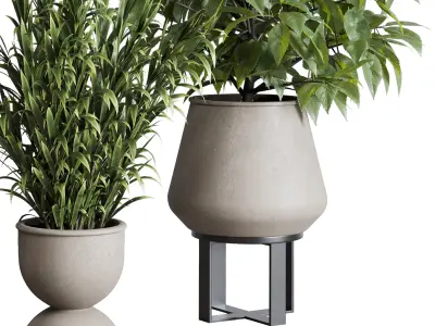 indoor plant set 344 ficus palm concrete dirty vase Low-poly 3D model