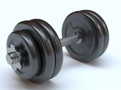 Dumbbell pair of dumbbells 3D model get