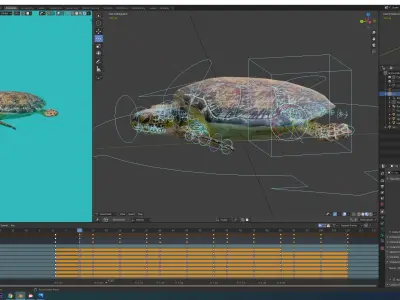 sea turtle Low-poly 3D model