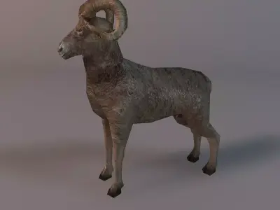 Low poly ram Low-poly 3D model