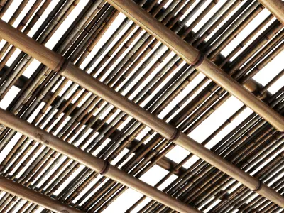 Branch bamboo long low n2 3D model