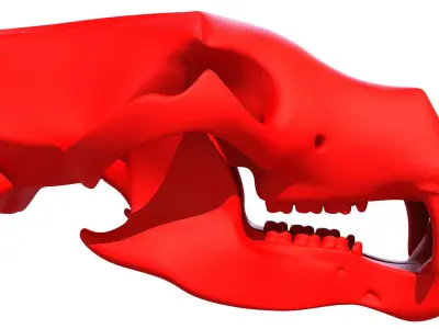 3D Print Bear Skull  3D model
