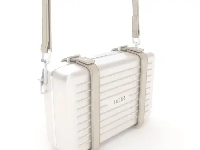 Dior and Rimowa Clutch Shoulder Gray 3D model