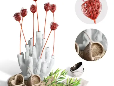 Decor Set 89 Coral vase branch plants Buddha nuts 3D model