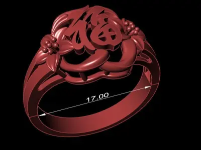 16 Files Ring no gem for Women 3D print model