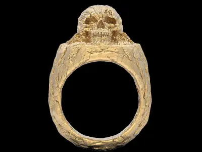 Rock skull ring gold jewelry printable 3D model 3D print model