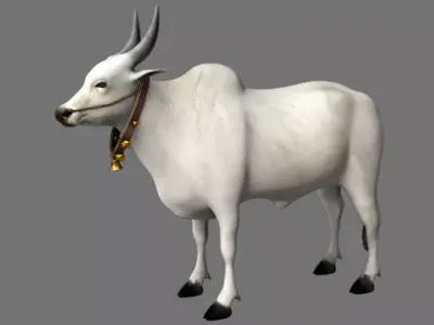 bull 3d model 3D model purchase