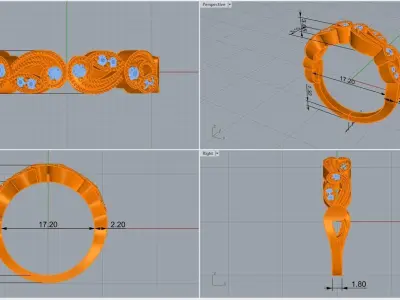 ring code 178 3D print model