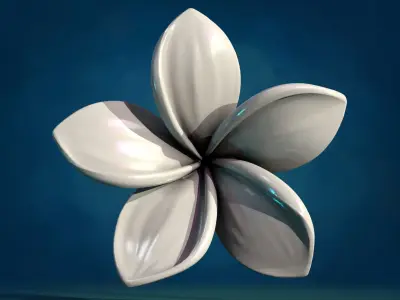 Plumeria Flower 3D print model