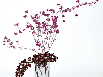 Cymbidium orchid and cherry branches 3D model