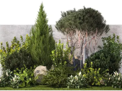 Garden cypress thuja pine topiary barberry 1397 3D model