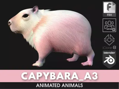Capybara-A3 3D model