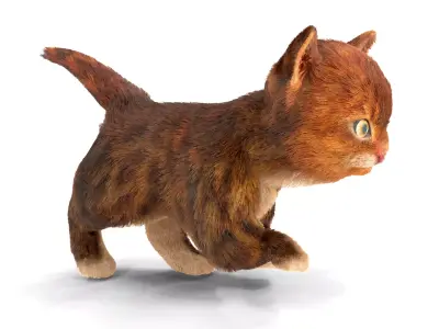 Fur Cute Red Cat Kitten Animated Low-poly 3D model