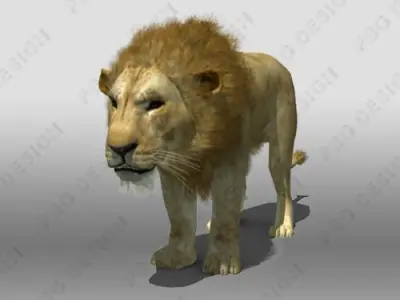 Lion Animated 3D model