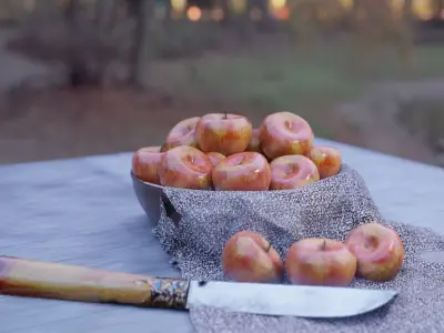 apple in a bronze bowl Free low-poly 3D model