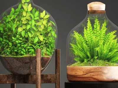 Florarium terrarium in glass bottle 3D model