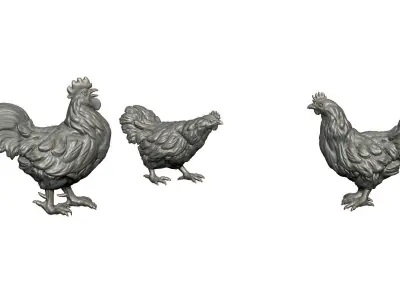 hen sculpture  3D Model Collection
