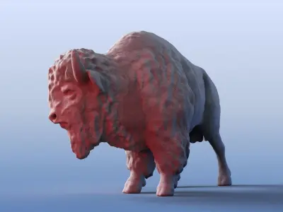 3D Bison 3D model