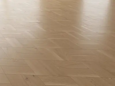  Parquet Oak Natural Brushed set 5 3D model