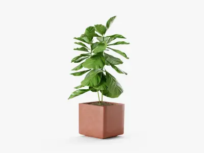 Plant 2 in concrete pot 3D model