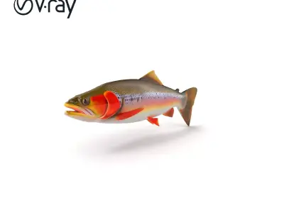 Artistic Cutthroat Trout with Detailed Markings model pack Low-poly 3D model