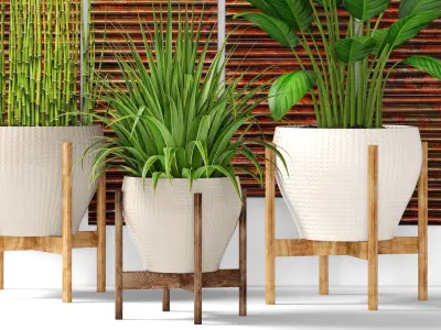 Plants collection pot 3D model