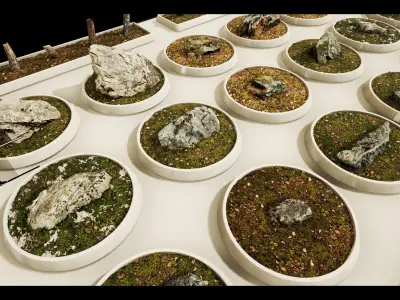 Scan Nature Pack - UE Project 4 10 Low-poly 3D model