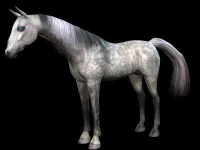 ARABIAN HORSE PUREBLOOD WILD WORLD PONY 1 Low-poly 3D model