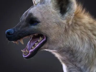 Hyena Static  Xgen core 3D model