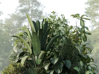 Outdoor plant Collection Wooden box for plant garden 3D model