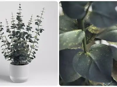 Realistic Eucalyptus Plant And Pot 3D Model 3D model